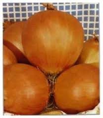 CIPOLLA RAMATA DI MILANO NR.200 SEMI